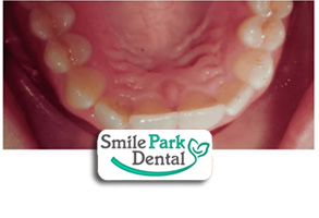 Dental Office in Oakville ON